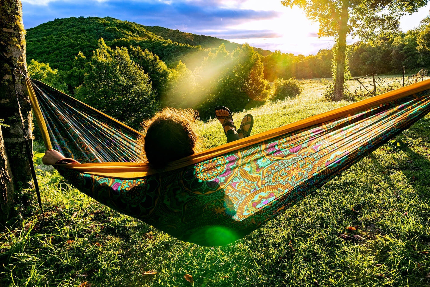 DoubleNest® Hammock Print