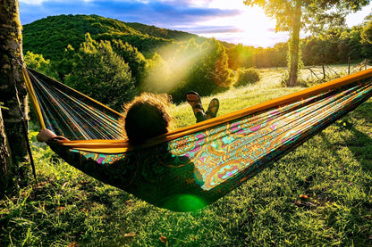 DoubleNest® Hammock Print